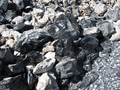 Różnej wielkości odłamki obsydianu w Parku Narodowym w Oregonie: Newberry National Volcanic Monument, wytyczonego w celu ochrony wulkanu Newberry. Fot. Rhiannon Boyle, źródło: https://www.flickr.com/photos/the_justified_sinner/3488630449/, dostęp: 18.11.14.

